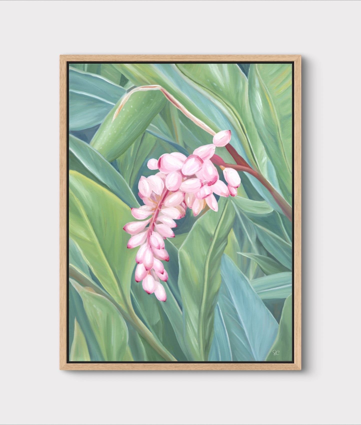"Shell Ginger" Canvas Print