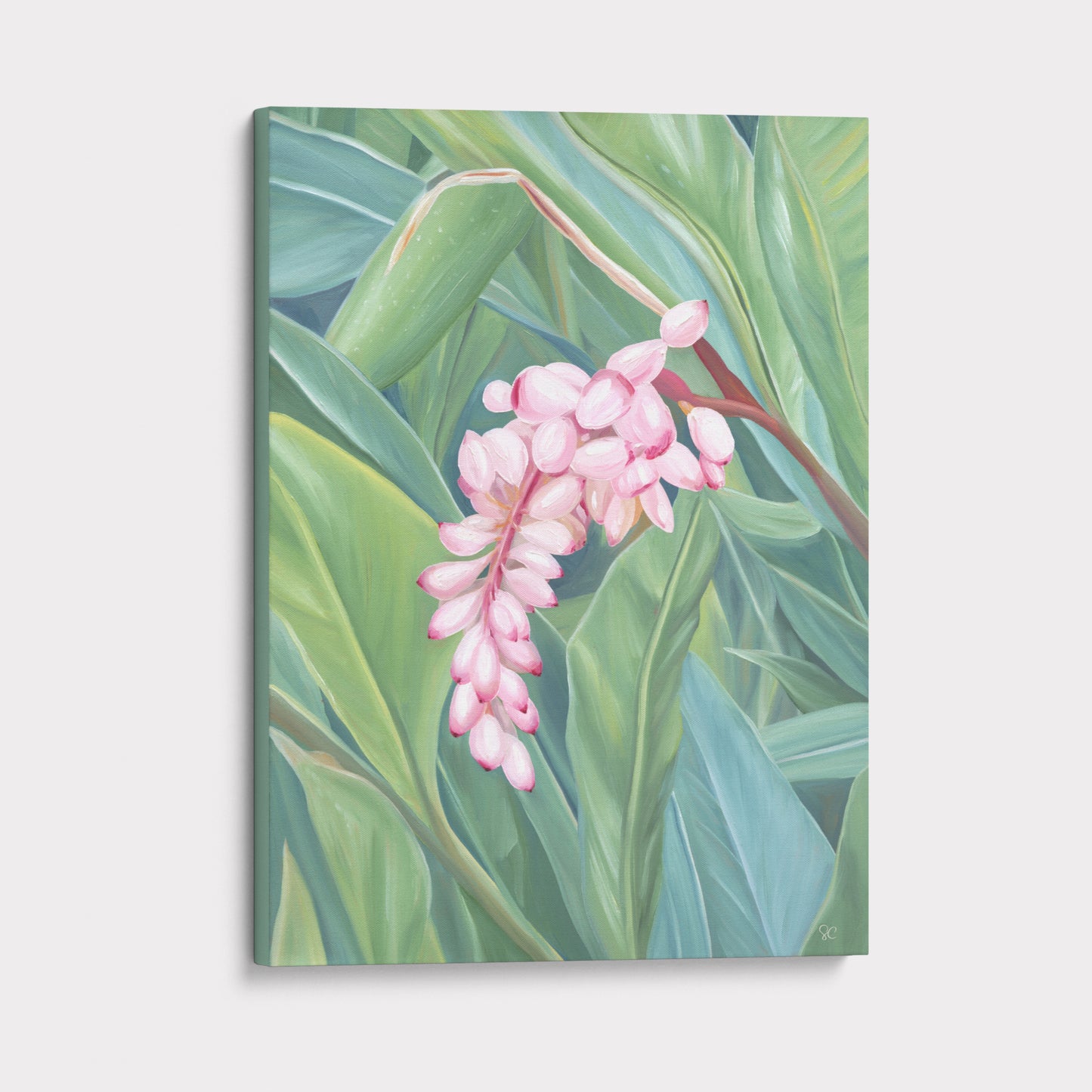 "Shell Ginger" Canvas Print