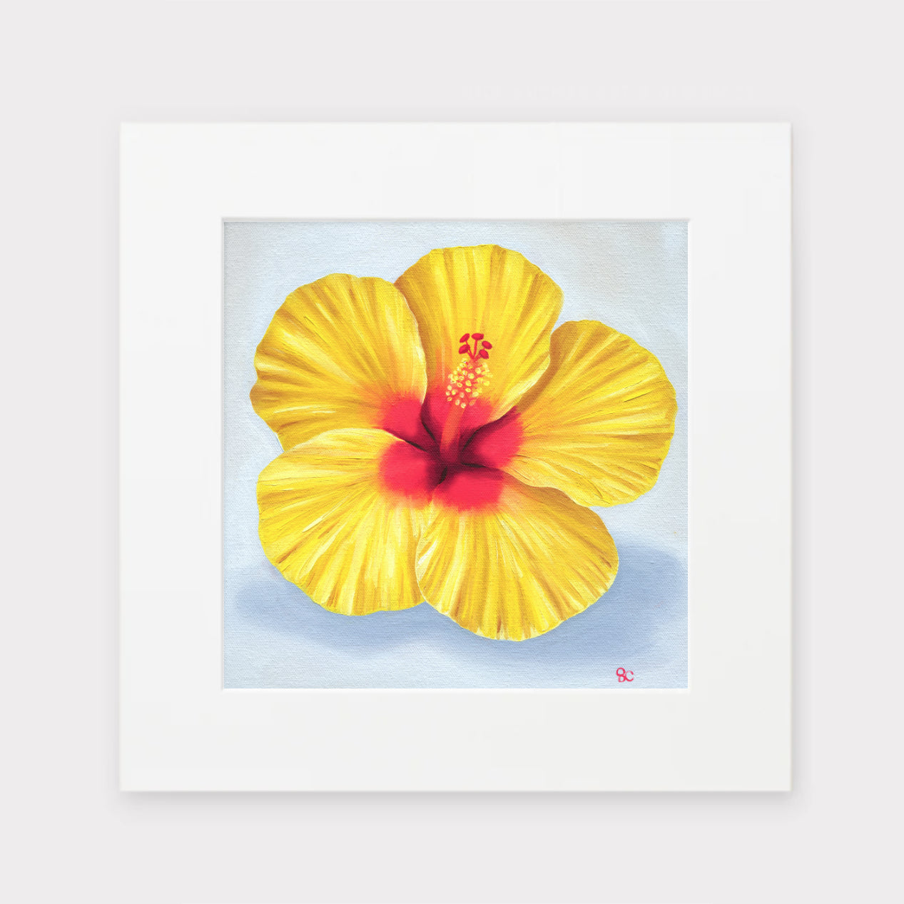 "Hibiscus No. 3" Matted Print