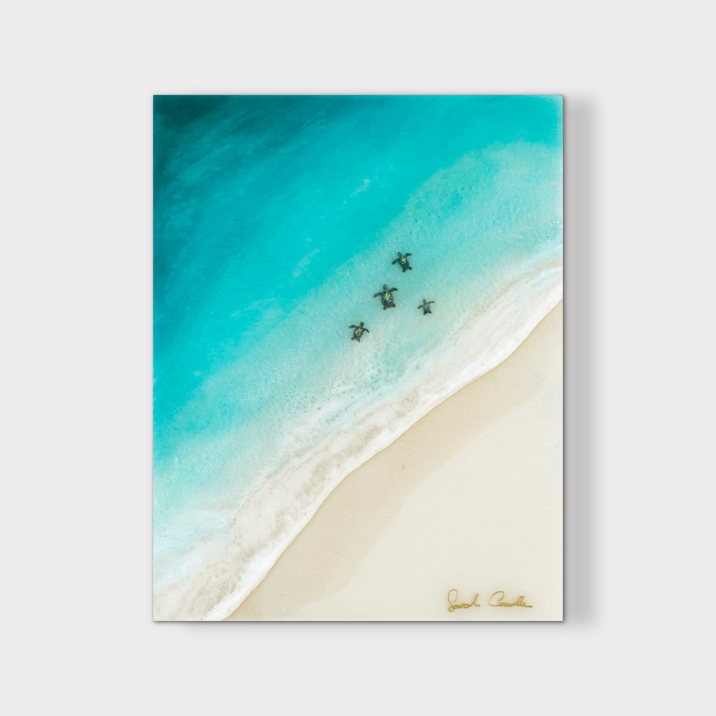 "Honu Ohana" Acrylic Print