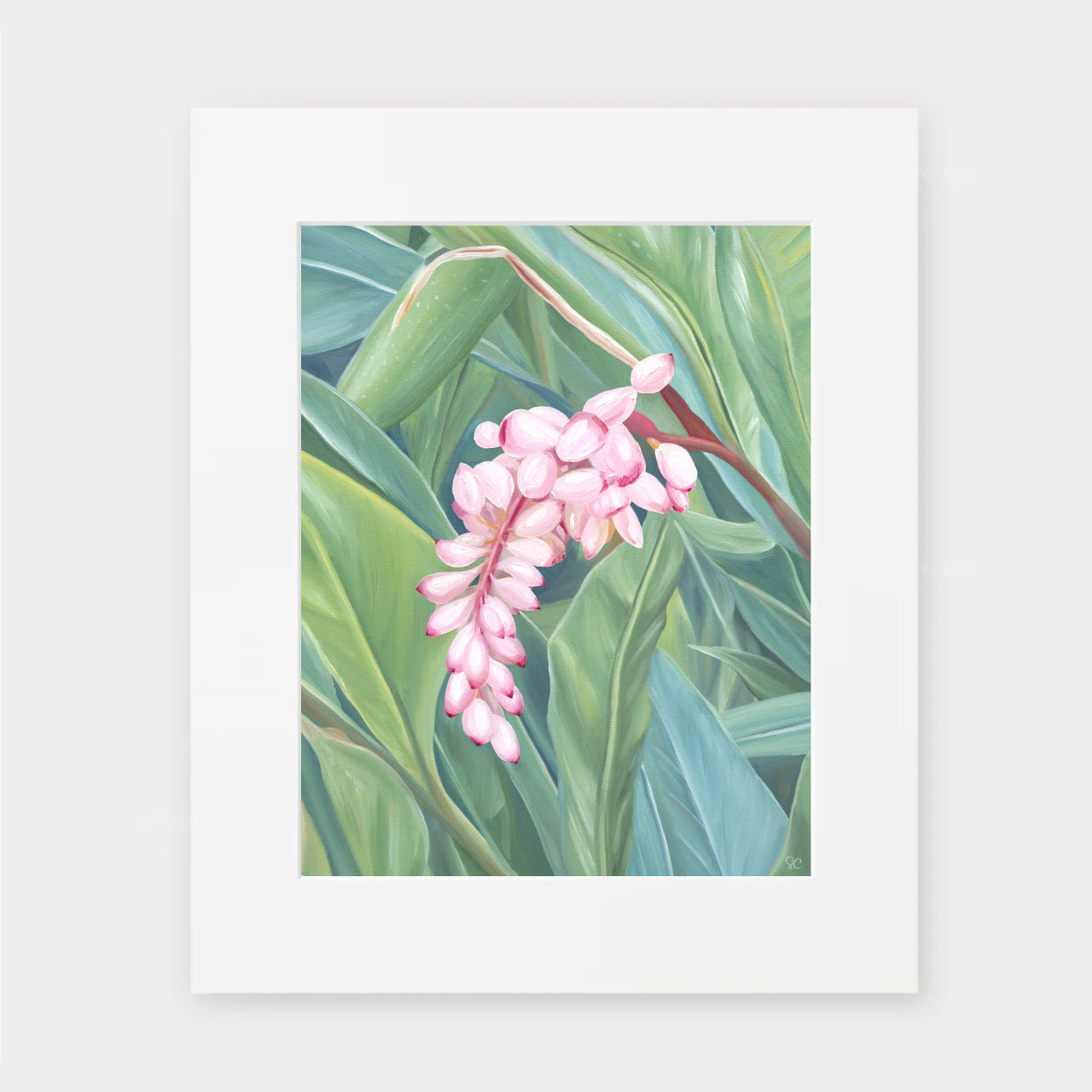 "Shell Ginger" Matted Print